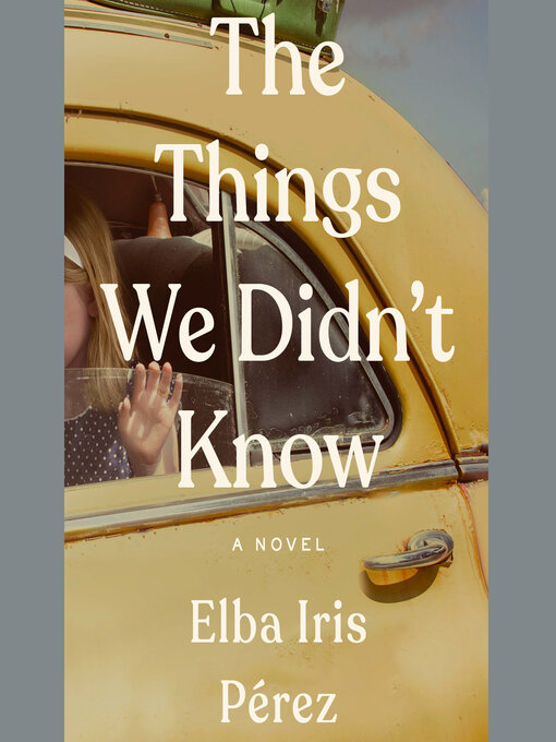 Title details for The Things We Didn't Know by Elba Iris Pérez - Wait list